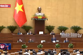 Phát triển đội ngũ nhà giáo tương xứng với vai trò, vị thế