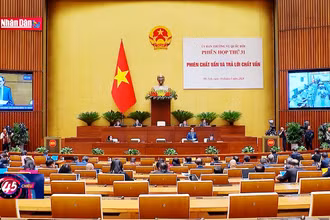 Đồng hành cùng các bộ, ngành, địa phương trong công tác đối ngoại và hội nhập quốc tế 