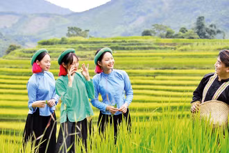 Các chàng trai, cô gái Sán Chỉ chụp ảnh bên những thửa ruộng bậc thang rực rỡ sắc mầu.