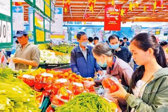 Người dân mua sắm hàng tiêu dùng thiết yếu được giảm giá tại một siêu thị Co.opmart ở Thành phố Hồ Chí Minh. (ảnh: CTV)