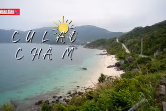 Một ngày ở Cù Lao Chàm