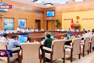 Rà soát để luật không chồng chéo
