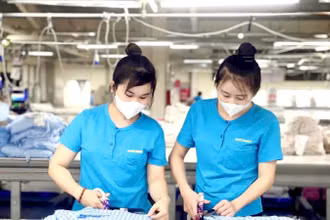 Công nhân nữ làm việc tại cơ sở sản xuất thuộc Tổng công ty cổ phần dệt may Hà Nội (Hanosimex).