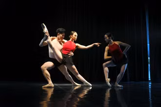 Vở diễn tôn vinh vẻ đẹp của tranh dân gian Đông Hồ qua ngôn ngữ của nghệ thuật ballet kết hợp múa dân gian và múa đương đại. (Ảnh VNOB)