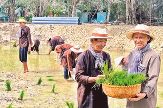 Mô hình cho mượn đất để trồng lúa của cựu chiến binh Trần Bá Sanh nhằm tạo kinh phí giúp các hội viên khó khăn.