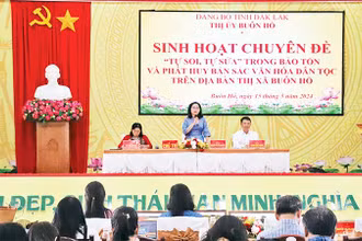 Một buổi sinh hoạt chuyên đề “Tự soi, tự sửa” của Đảng bộ thị xã Buôn Hồ.