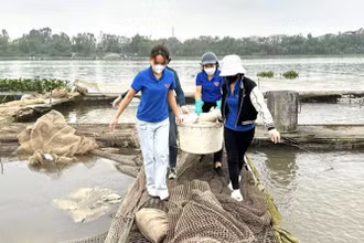 Đoàn Thanh niên thành phố Hải Dương hỗ trợ các hộ nuôi cá thu dọn, xử lý cá chết.