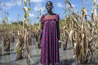 Lũ lụt phá hủy mùa màng ở Nam Sudan. (Ảnh WFP)
