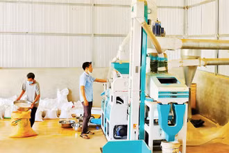 Đóng gói gạo Sóc Nê, một trong những sản phẩm OCOP tiêu biểu của huyện Bù Đốp, tỉnh Bình Phước.