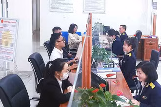 Cán bộ cơ quan thuế tỉnh Lâm Đồng thực thi nhiệm vụ quản lý thuế.