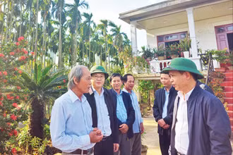 Bí thư Huyện ủy Triệu Phong Trần Xuân Anh (bên phải) cùng lãnh đạo huyện thăm khu vườn mẫu của ông Đào Xá (bên trái) ở thôn Bích Khê, xã Triệu Long.