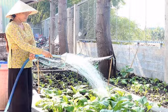 Nhu cầu sử dụng nước sạch của người dân tại xã Tân Tập, huyện Cần Giuộc, tỉnh Long An trong sinh hoạt và sản xuất được bảo đảm. (Ảnh SƠN QUÊ)