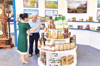 Nhiều sản phẩm tiêu biểu khu vực miền trung-Tây Nguyên tham gia tại các hội chợ, triển lãm hàng công nghiệp, nông nghiệp và thương mại.
