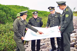 Những cánh rừng ngập mặn vùng ven biển Kim Sơn có thể khai thác phát triển du lịch gắn với bảo tồn thiên nhiên.