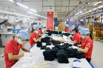 Sản xuất hàng may xuất khẩu tại Tổng công ty May 10.