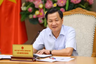 Phó Thủ tướng Chính phủ Lê Minh Khái phát biểu tại cuộc họp.
