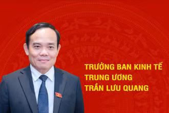 [Infographic] Tiểu sử tân Trưởng Ban Kinh tế Trung ương Trần Lưu Quang