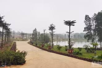 Công trình đường bê-tông do ông Bùi Mạnh Dũng xây dựng trái phép trên đất nông nghiệp tại khu giáo dục trải nghiệm Trưng Vương Garden.