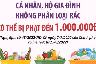 Cá nhân, hộ gia đình không phân loại rác có thể bị phạt đến 1 triệu đồng