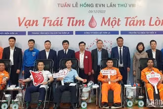 Các đơn vị tham gia chương trình “Tuần lễ hồng EVN”. 