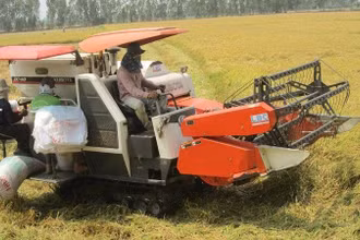 An Giang là trong vựa lúa của cả nước. 