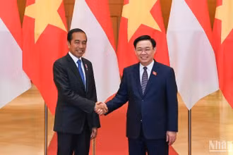 Chủ tịch Quốc hội Vương Đình Huệ và Tổng thống Indonesia Joko Widodo. (Ảnh: DUY LINH)