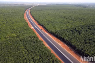 Cao tốc Phan Thiết-Dầu Giây trước thời điểm hoàn thành 1 tháng. (Ảnh: Thiên Vương)
