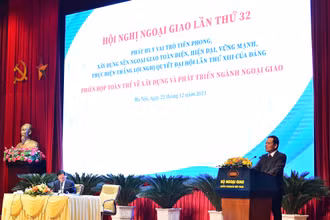 [Ảnh] Phiên họp toàn thể về xây dựng và phát triển ngành ngoại giao 