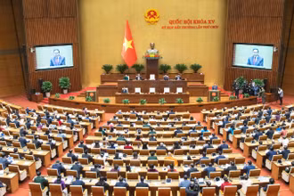 Kỳ họp bất thường lần thứ 9, Quốc hội khóa XV.