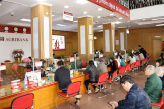 Khách hàng giao dịch tại chi nhánh Ngân hàng Agribank.