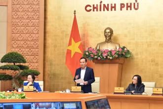 Phó Thủ tướng Trần Lưu Quang phát biểu ý kiến tại Hội nghị.