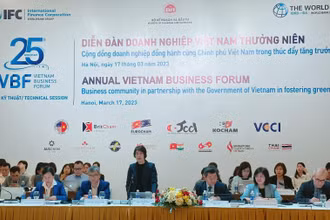 Quang cảnh phiên họp kỹ thuật của Diễn đàn doanh nghiệp Việt Nam thường niên. (Ảnh Lê Tiên)