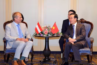 Chủ tịch nước Võ Văn Thưởng tiếp Chủ tịch Hội Hữu nghị Áo-Việt Nam Alfred Gerstl. (Ảnh: TTXVN)