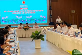 Đại biểu góp ý về chính sách đất đai đối với đồng bào dân tộc thiểu số. (Ảnh: THANH TÂM)