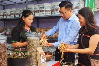 Du khách tìm hiểu về dược liệu trên địa bàn huyện Đăk Glei. 