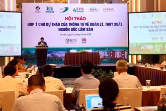 Quang cảnh hội thảo.