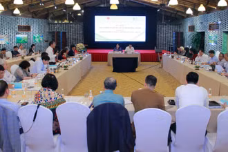 Các đại biểu tham dự hội thảo.