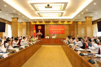 Đại biểu Hội đồng nhân dân tỉnh Vĩnh Phúc biểu quyết tán thành chủ trương sắp xếp đơn vị hành chính cấp xã.