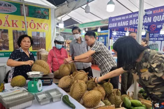 Người tiêu dùng Thủ đô thưởng thức, mua sắm các trái cây đặc sản của tỉnh Đắk Nông.