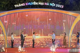 Các đại biểu thực hiện nghi thức khai mạc chương trình.