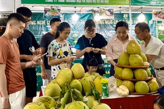 Trái cây là sản phẩm được người tiêu dùng Thủ đô tiêu dùng với số lượng lớn.