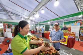 Người tiêu dùng tìm mua các loại trái cây đặc sản của các tỉnh, thành phố. 