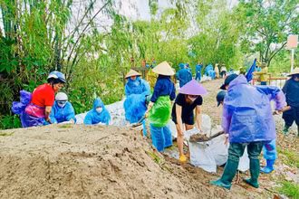 Lực lượng chức năng và nhân dân xã Đại Áng, huyện Thanh Trì (Hà Nội) khẩn trương thực hiện các giải pháp gia cố, chống sạt đê tả sông Nhuệ, gần trạm bơm tiêu Hòa Bình.