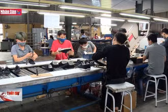 Phục hồi doanh nghiệp những tháng cuối năm: Cần quyết sách mạnh mẽ