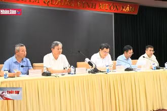 Lãnh đạo Bộ Công thương xin lỗi người dân, doanh nghiệp