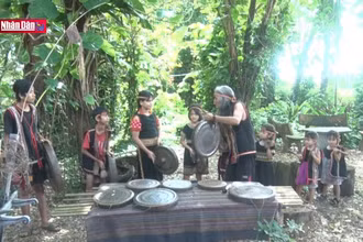 Người giữ lửa cồng chiêng Ba Na