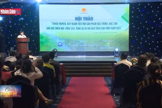 Kết nối sản xuất, tiêu thụ sản phẩm thương mại miền núi và hải đảo