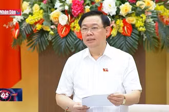 Chủ tịch Quốc hội chủ trì cuộc làm việc với Ban Thường vụ Thành ủy TP Hồ Chí Minh
