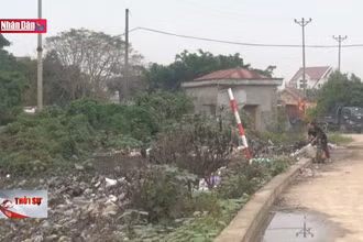 Bãi rác tập kết gây ô nhiễm môi trường tại Hải Dương