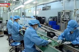 Cần thêm gói hỗ trợ để ''tiếp sức'' phục hồi thị trường lao động